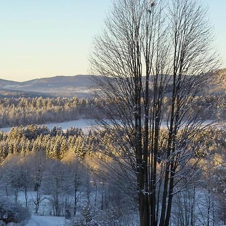 Ferienwohnung-Panoramablick-1 Боденмайс Екстер'єр фото